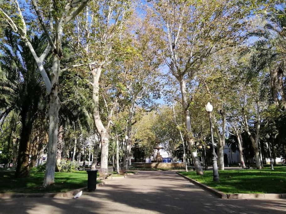 Appartement Trotamundos, Nuevo En El Centro