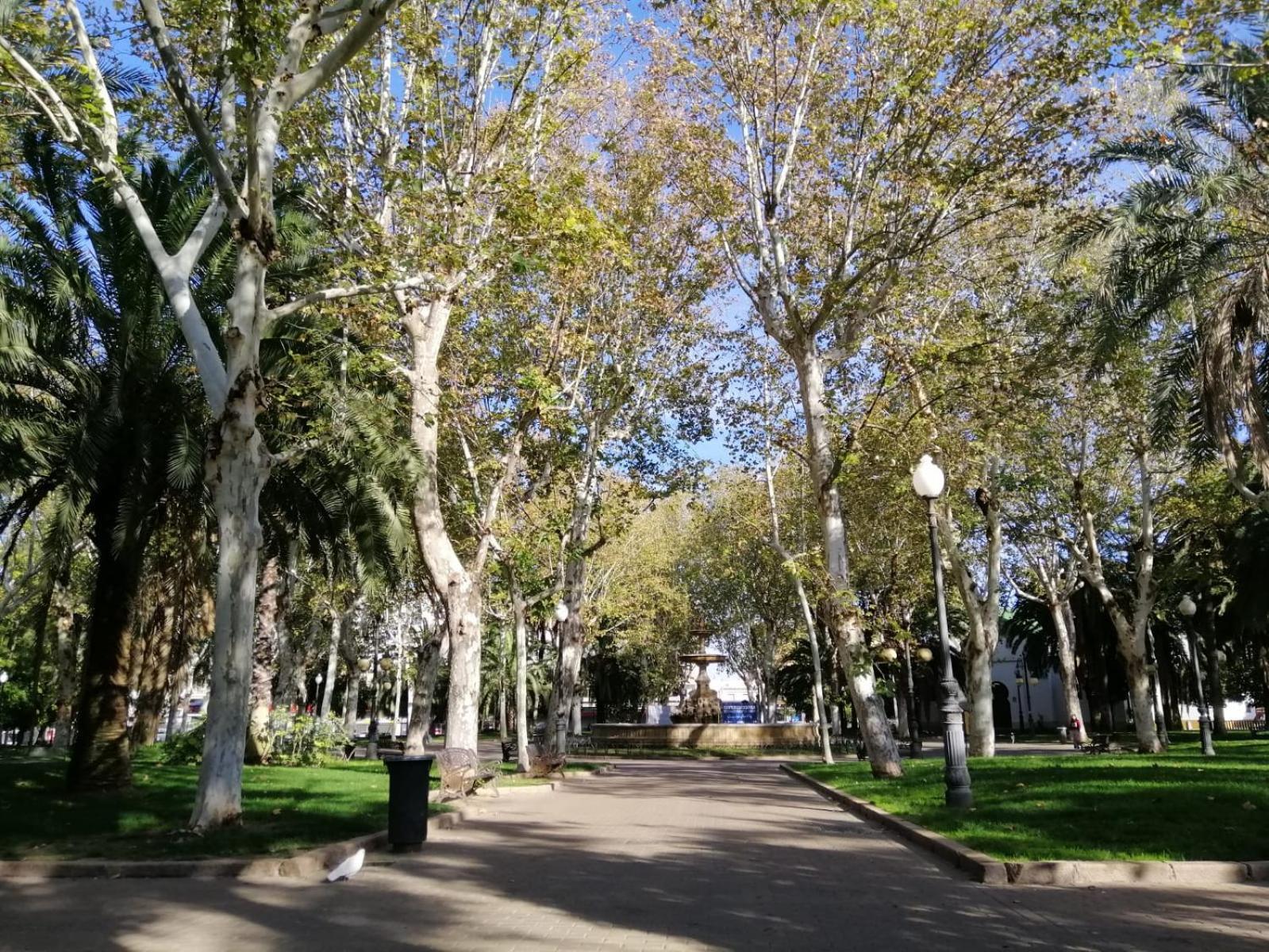 Appartement Trotamundos, Nuevo En El Centro Cordoue