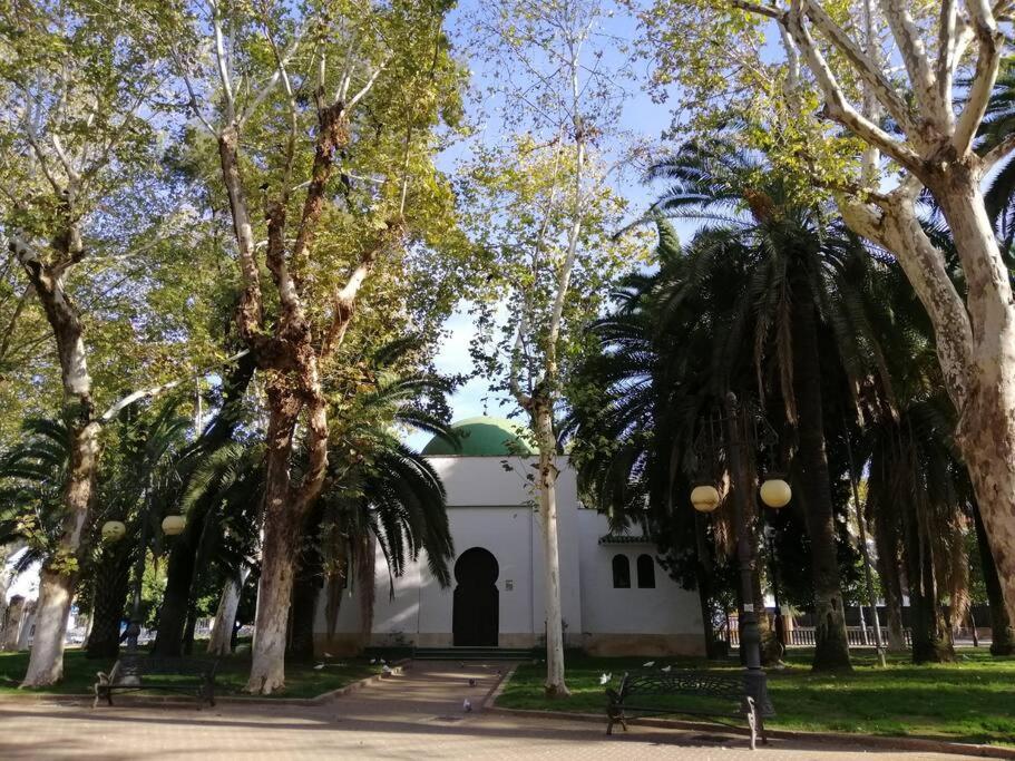 Appartement Trotamundos, Nuevo En El Centro