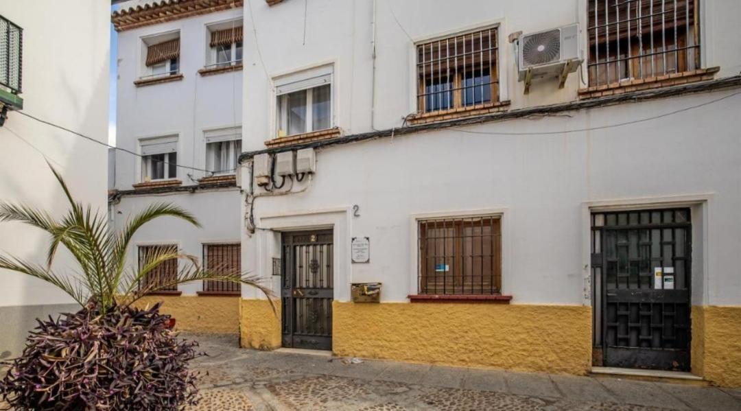 Appartement Trotamundos, Nuevo En El Centro